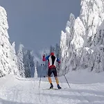 Mountain Klinovec Hexagon דירה