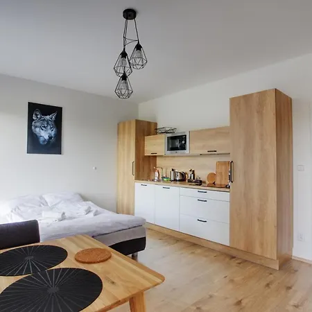 Mountain Klinovec Hexagon Apartment Loucna pod Klinovcem